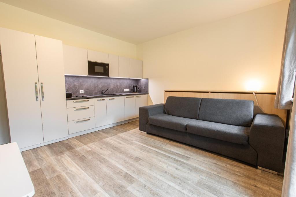 Apartmány pod Zakletým - Hotel Říčky - Studio With Sofa Bed