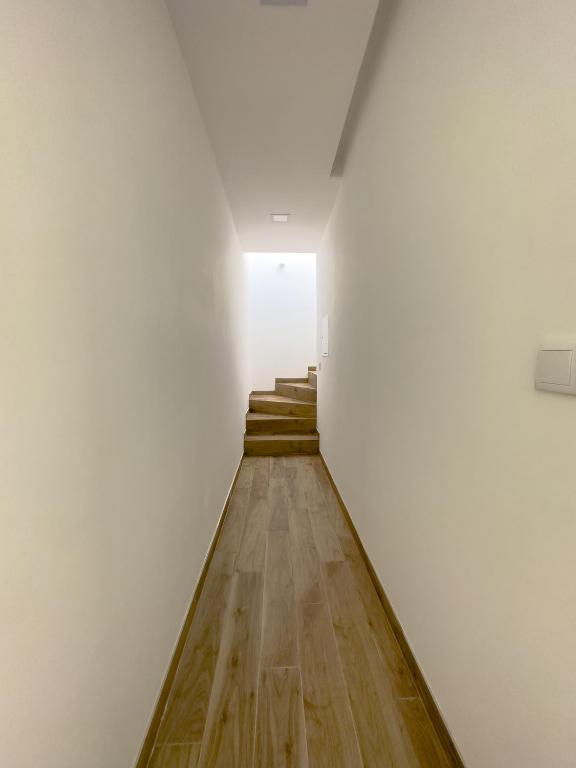 Vibrant Host-Campo 24 Agosto - 7