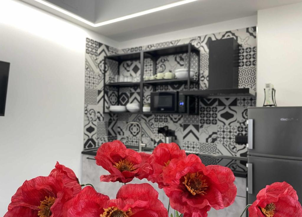uma cozinha com papoilas vermelhas numa sala em La Casa di Brando - Bilocale 1 Ancona em Camerano