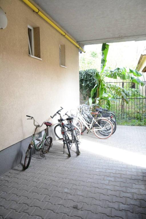 Jízda na kole v ubytování Apartman studio DUE nebo okolí