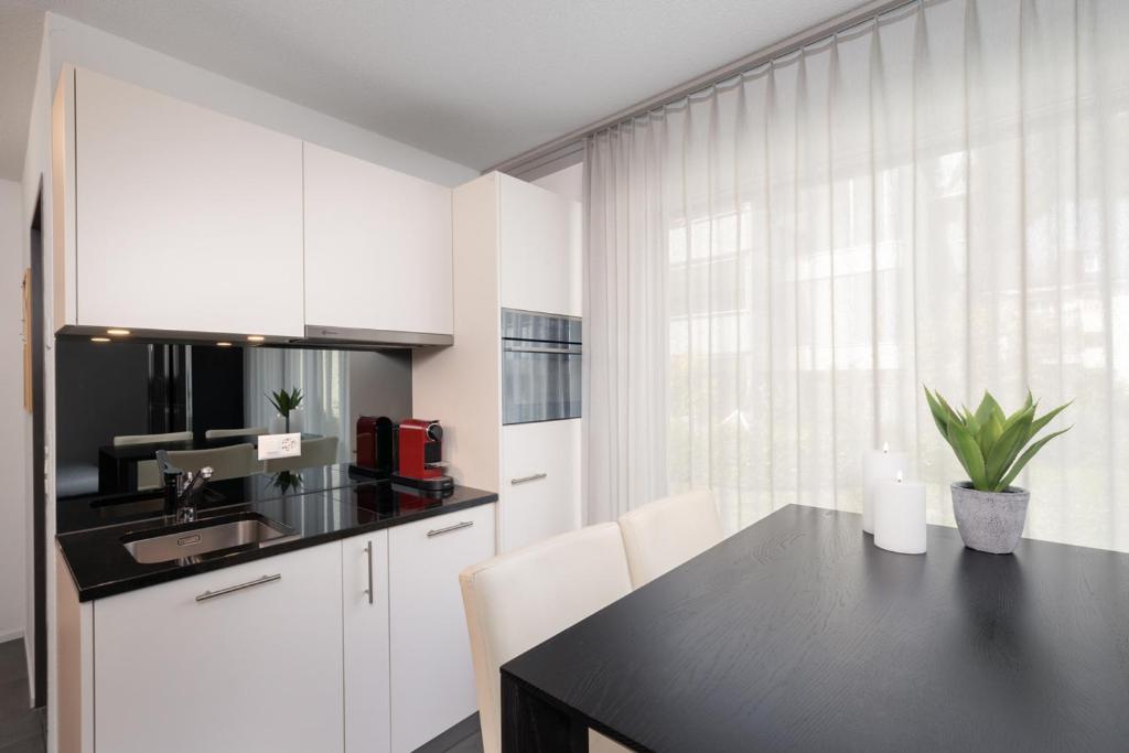 Studio RAFAEL Interlaken - Resim 12