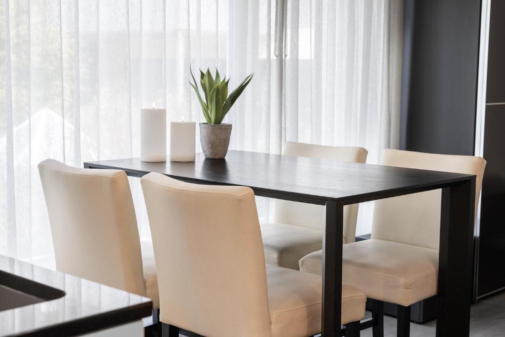 Studio RAFAEL Interlaken - Resim 10