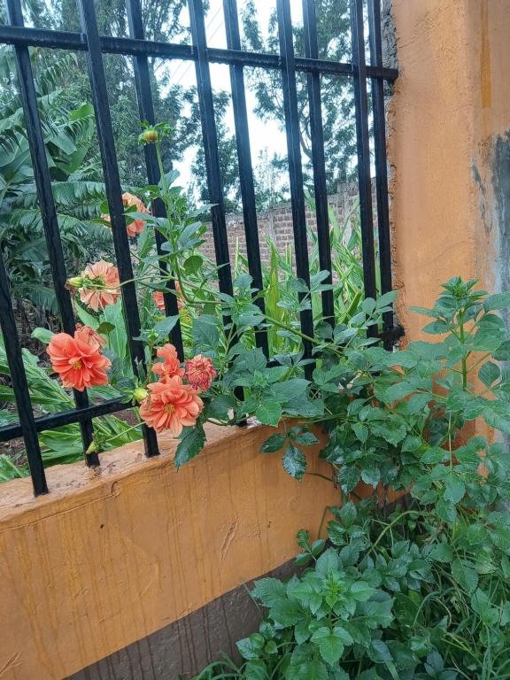 een bos bloemen in een vensterbank bij Topsta Apartment in Kisii