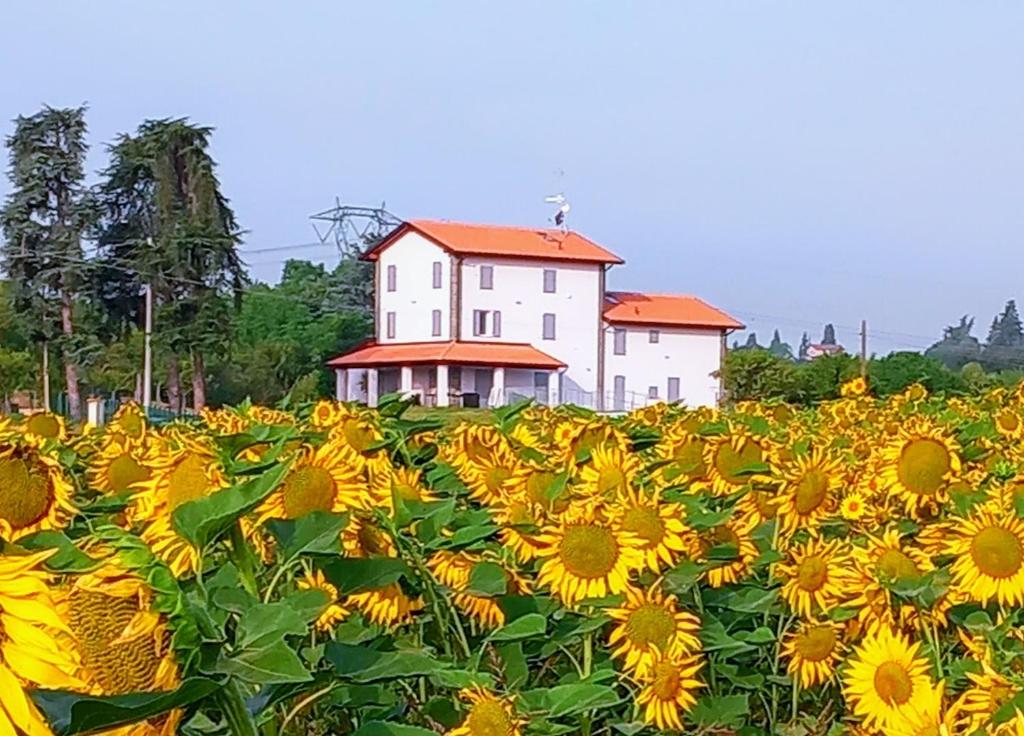 a field of sunflowers in front of a house at La collinetta B&B in Crespellano
