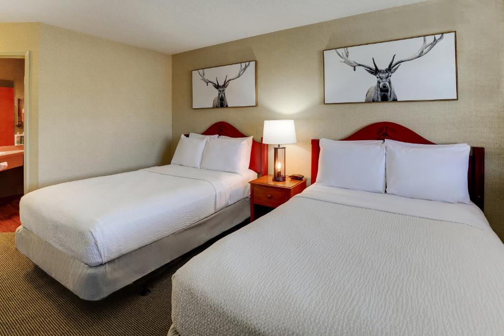 Stoney Creek lnn Galena - Habitación Doble De Lujo Con Dos Camas Dobles