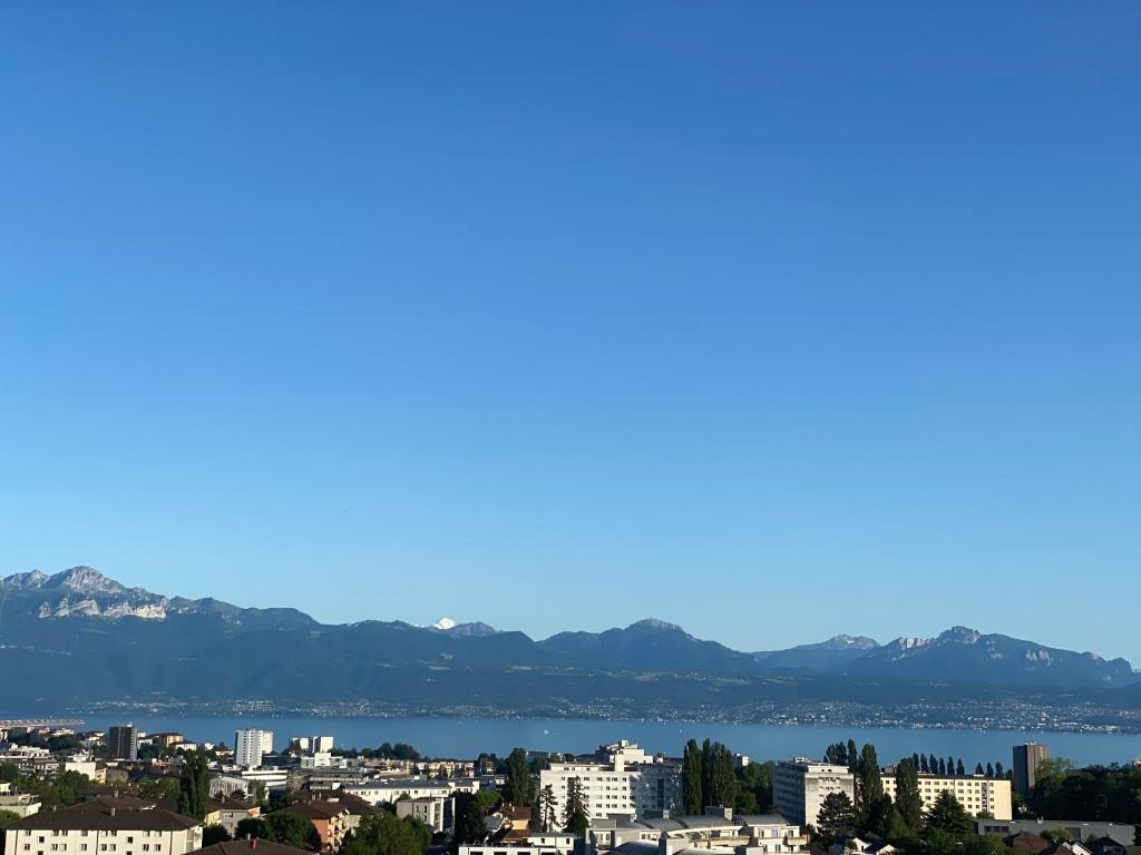 a view of a city with mountains in the background at Charmant appartement près de EPFL UNIL Lausanne in Renens