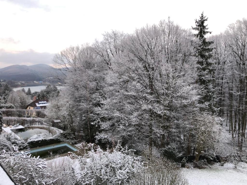 Haus Bartberg v zimě