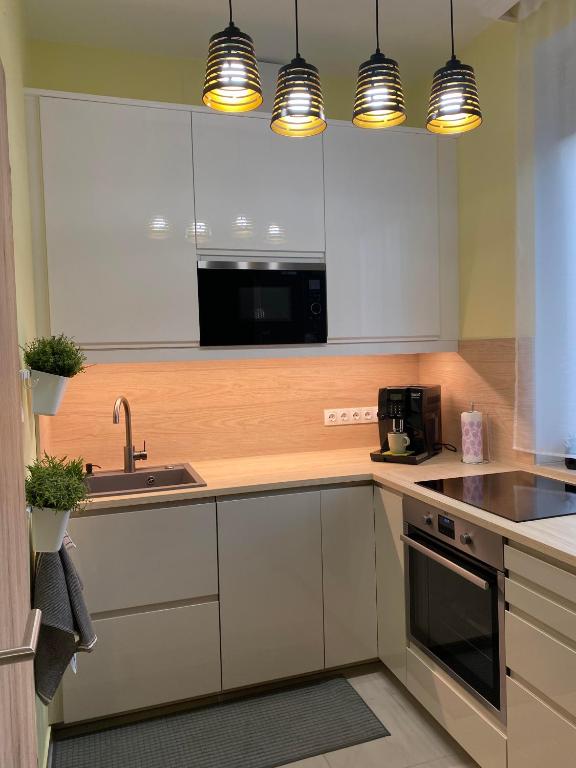 Kuchyň nebo kuchyňský kout v ubytování NEST1 Apartments