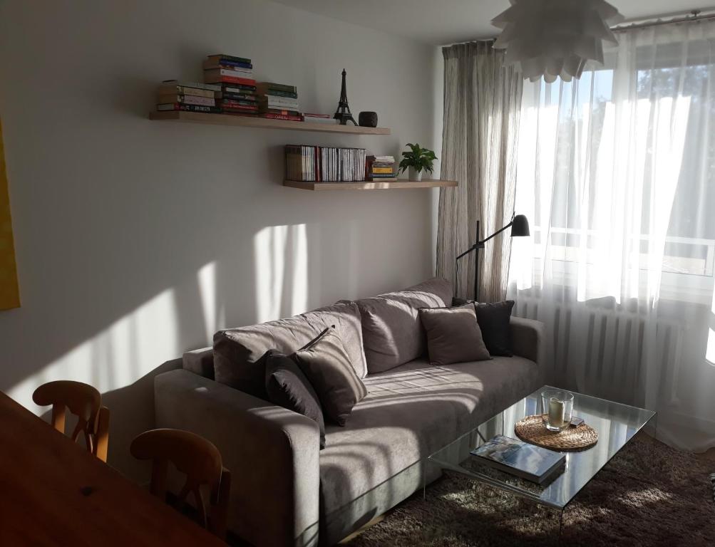 a living room with a couch and a window at Apartament Krasiczyńska in Warsaw