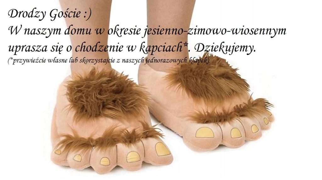 Willa JODŁA Wisła - 11