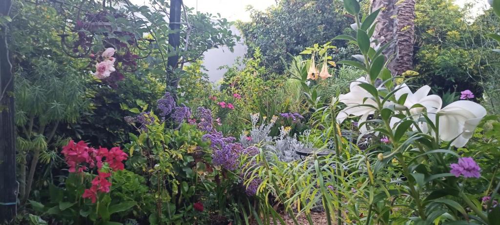 Zahrada ubytování Casa Flora Garden Studio (Gite)
