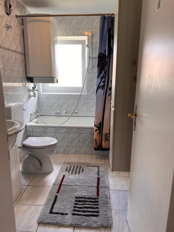 a bathroom with a white toilet and a sink at Premium Handwerker- & Monteurzimmer mit Gemeinschaftsbad in Rosenfeld