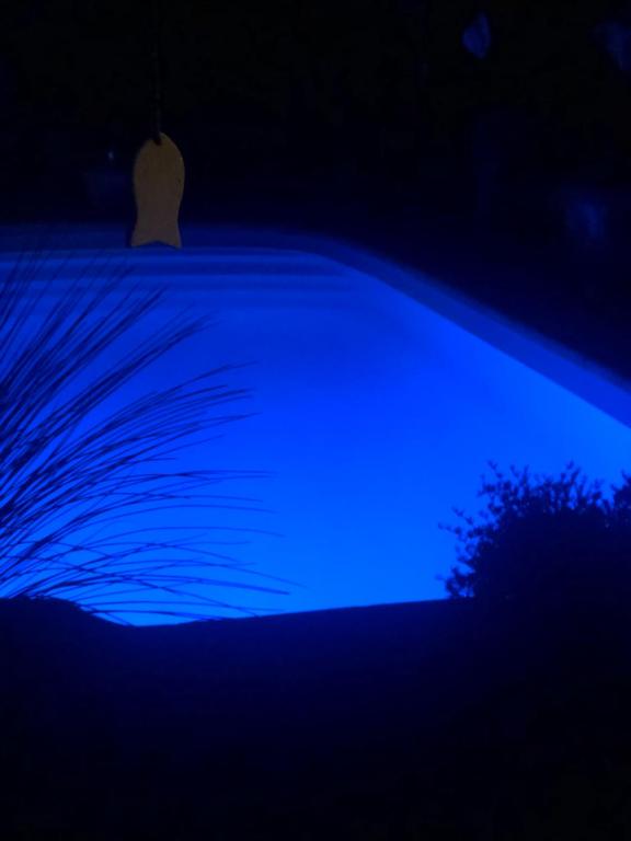a blue light in a dark room at chez Guy in Marseille