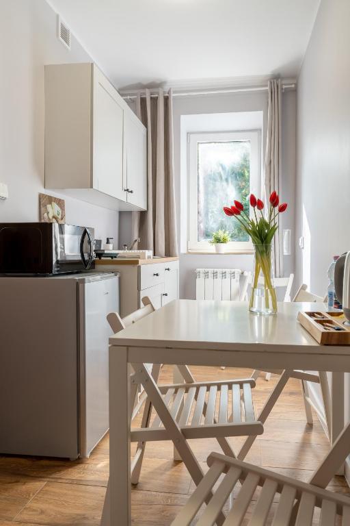 Kuchyňa alebo kuchynka v ubytovaní Willa Sonata - Apartamenty & Balia - Szklarska Poręba