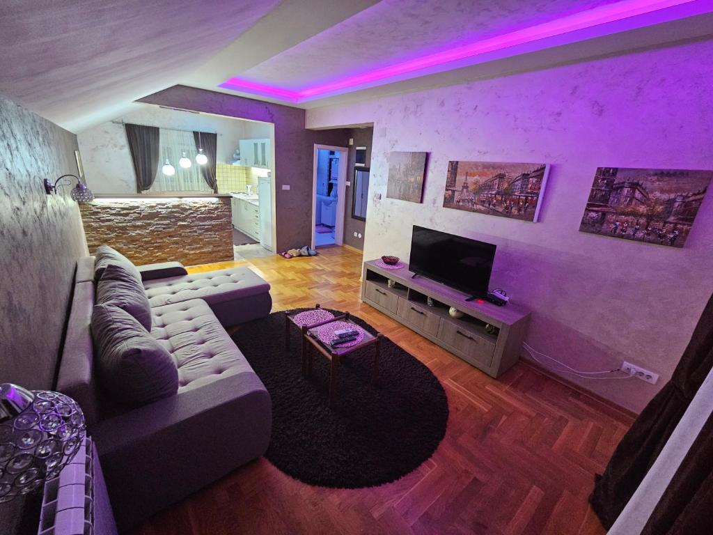 Televizorius ir (arba) pramogų centras apgyvendinimo įstaigoje Luxury Apartments Belgrade