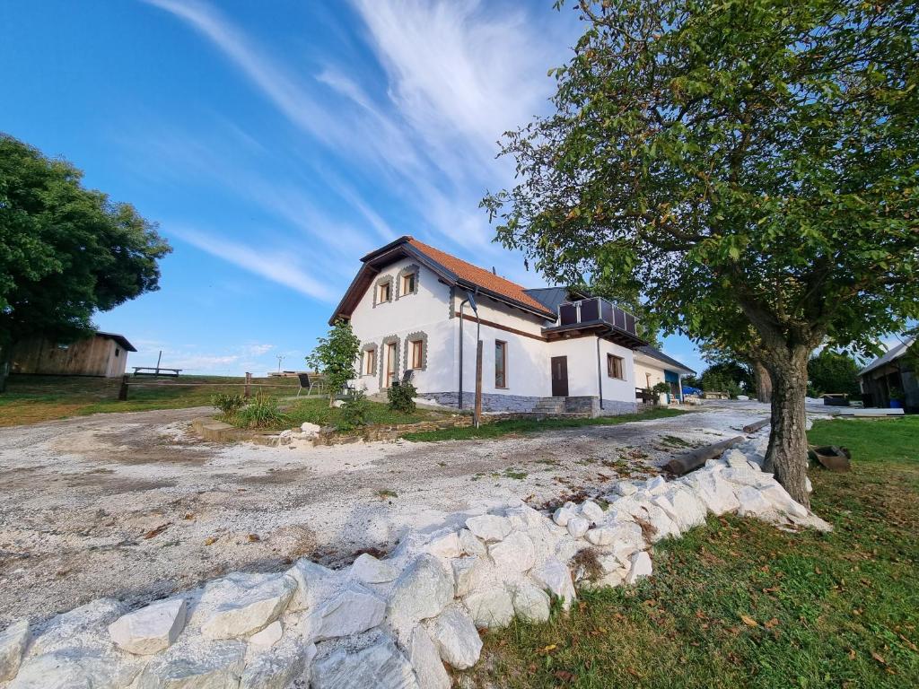Una casa blanca con un árbol delante. en Čenovický dvůr en Čestín
