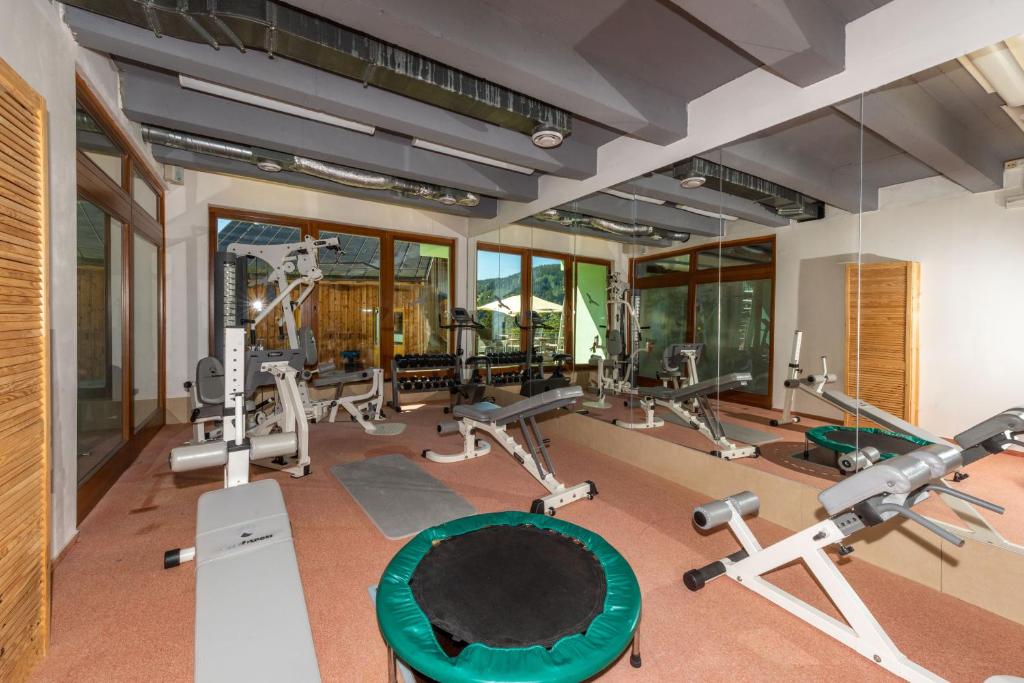 Fitness centrum a/nebo fitness zařízení v ubytování Hotel Modřín