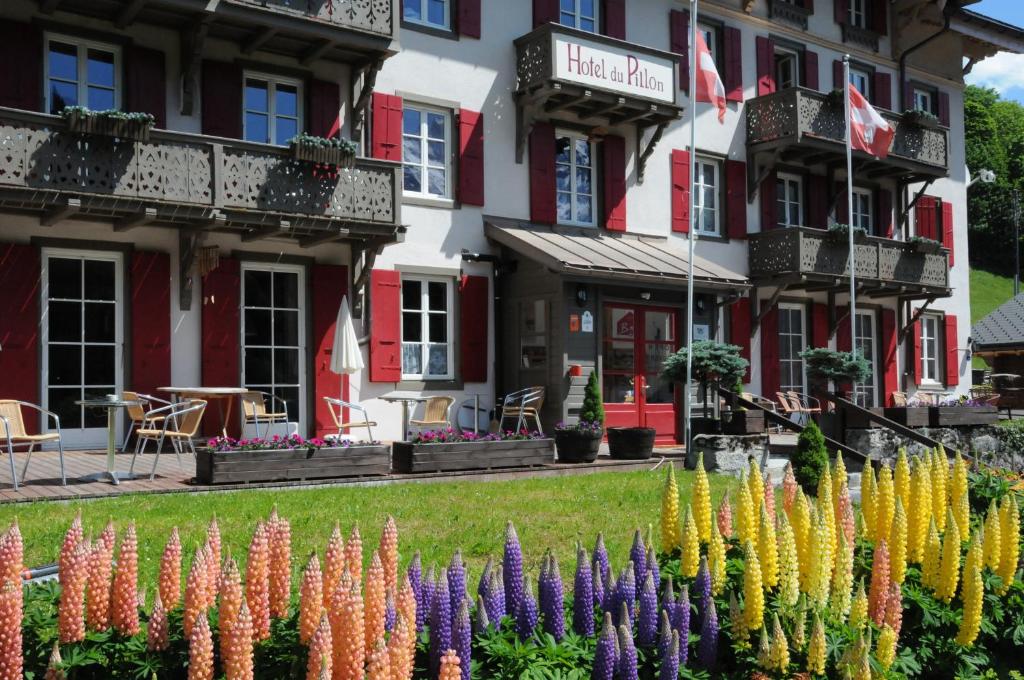 Zahrada ubytování Historic Hotel du Pillon