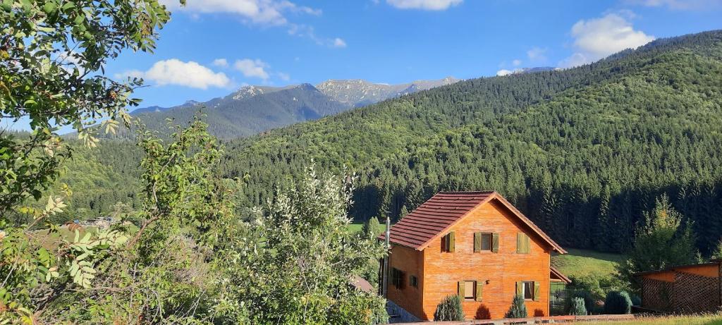 a brick house in the middle of a mountain at Casa Magnolia in Bran