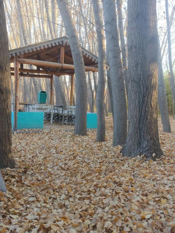 a picnic table and trees with leaves on the ground at Cabañas Apheles in Tupungato