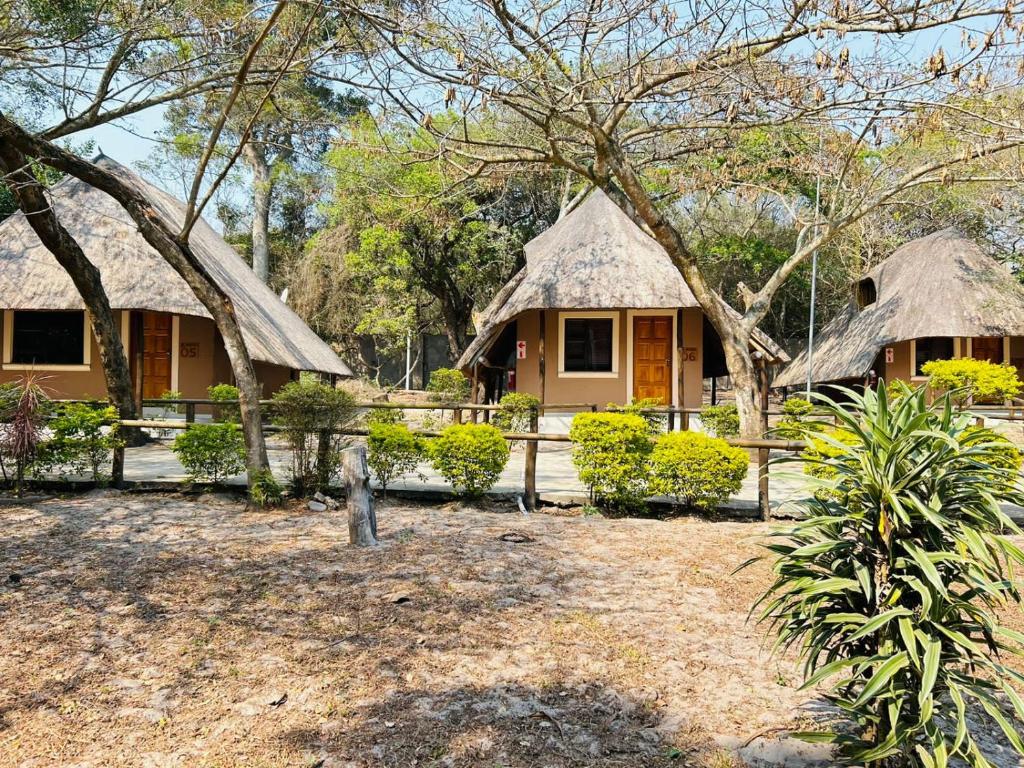a house with two thatched cottages with trees at THE GALAXY FOREST LODGE in Manguzi