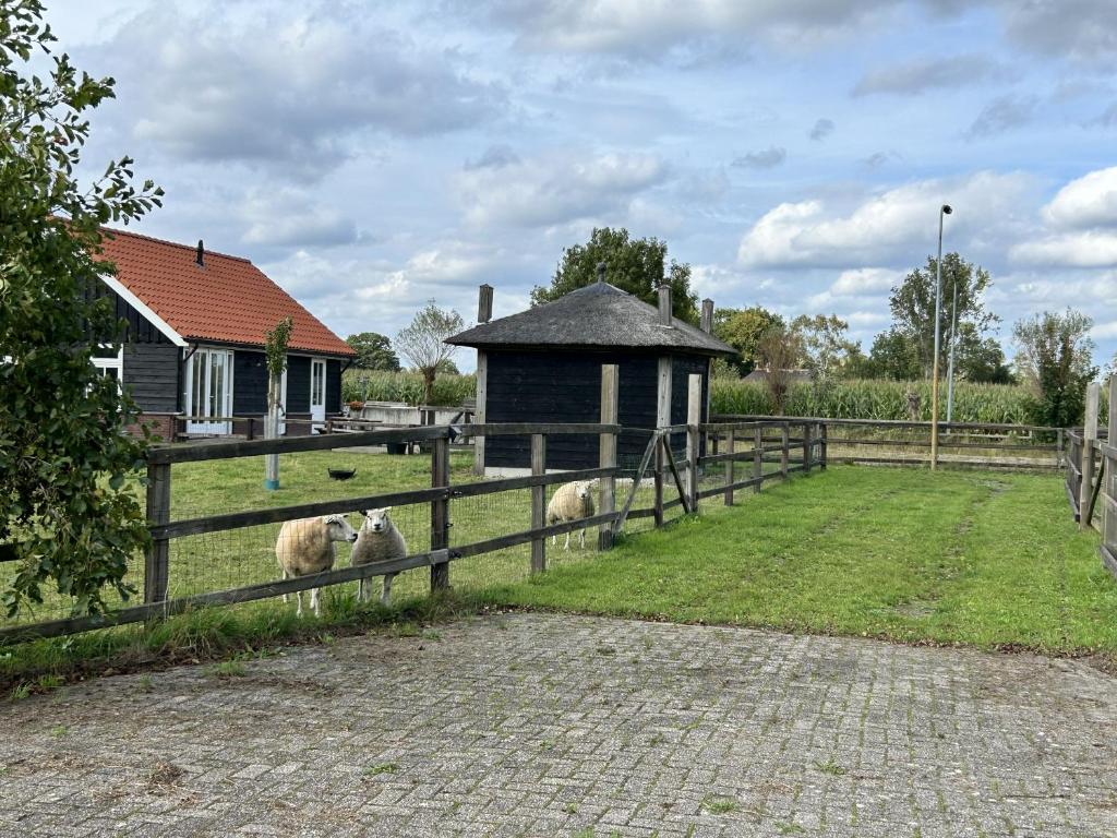 Zahrada ubytování Geldersche tuin 6 persoons