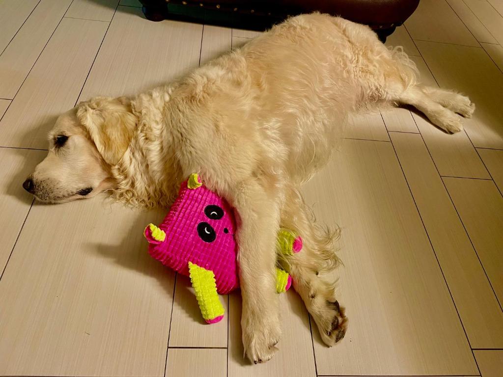 Hotel Radnice - Resim 40