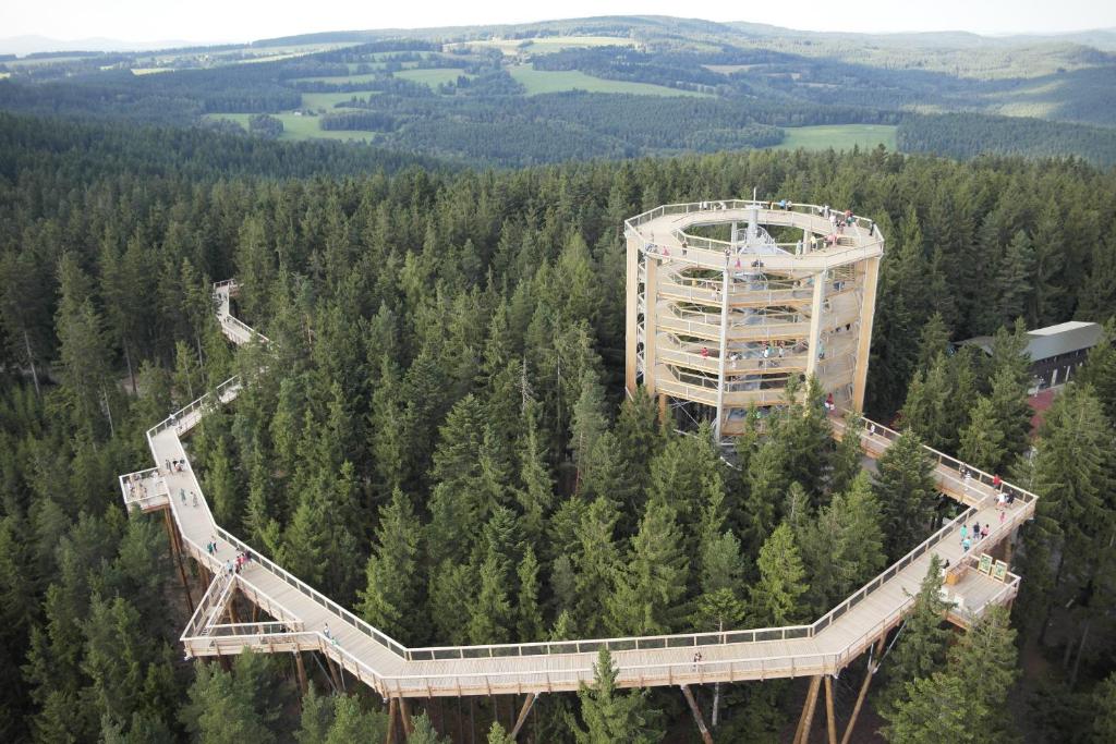 an aerial view of a building in the middle of a forest at Myši V Botě Lipno in Lipno nad Vltavou
