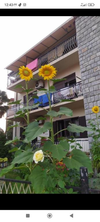 Sea and Sunshine - 14