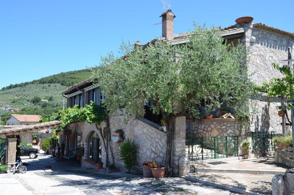 Il Borgo Dell'Ulivo