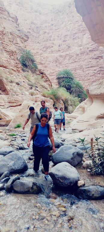 Adventure camping - Organized Trekking from Dana to Petra - Experience Tent