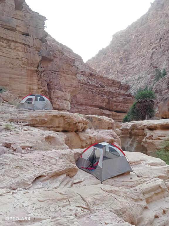 Adventure camping - Organized Trekking from Dana to Petra - Sky Star Tent