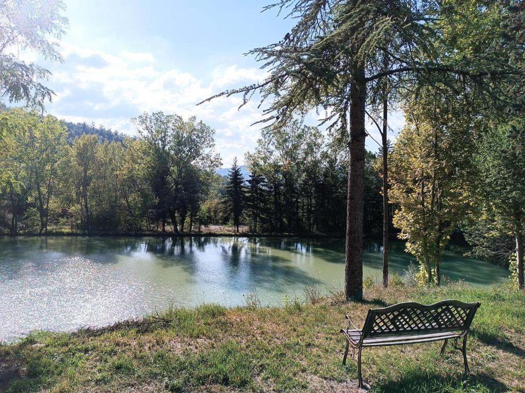un banco del parque sentado junto a un lago en Sorgenti nel bosco Appartamento vista lago, en Campo Reggiano