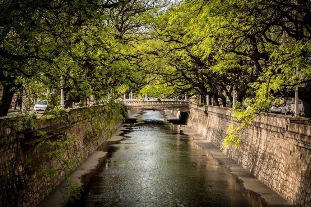 een rivier met een brug in een park met bomen bij Rivière Hostel in Cordoba