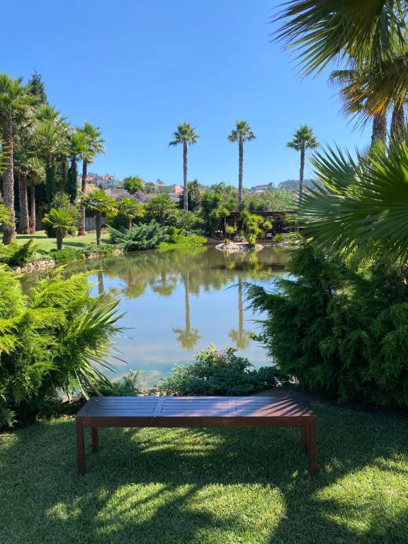 a bench in front of a pond with palm trees at Refúgio do Lago in Frossos