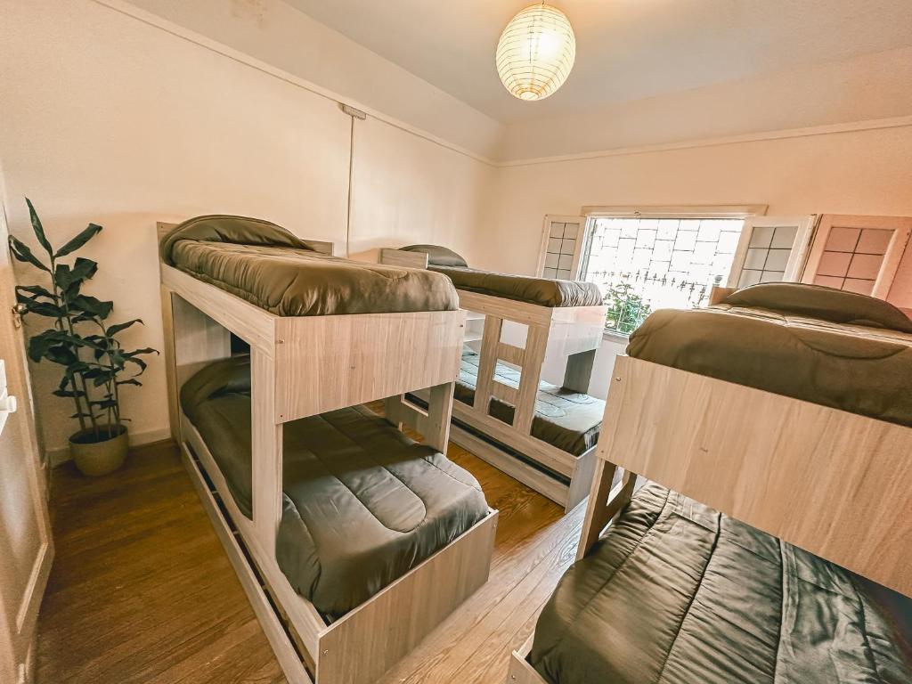 a room with four bunk beds and a window at Hilda House Hostel in Mar del Plata