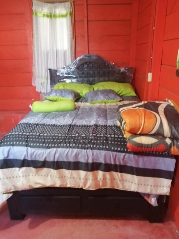 Farm Lodge La Cabaña - Standard Single Room With Shared Bathroom