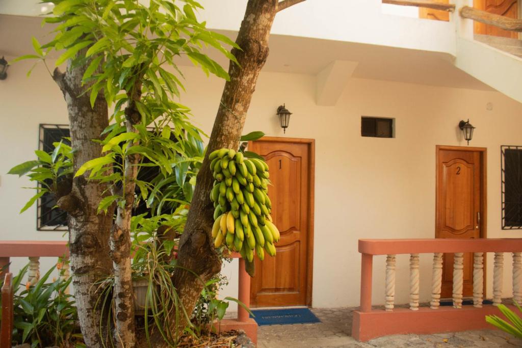 Balkón nebo terasa v ubytování Casa de Nelly