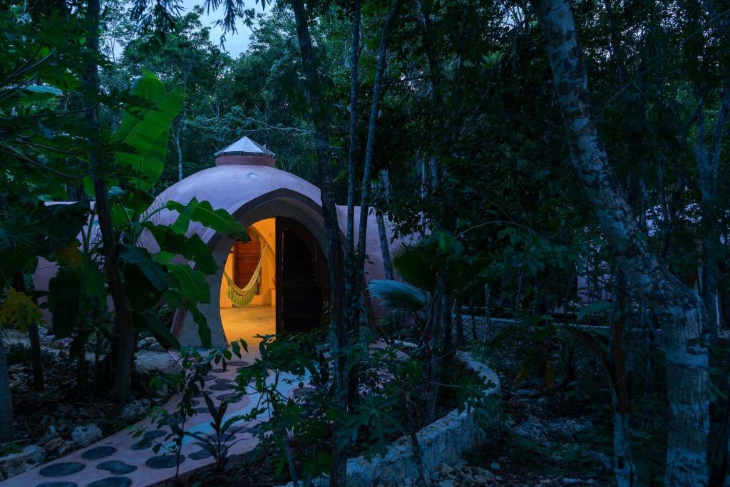 Hoteles cerca de Native Park en Tulum con comodidad y naturaleza

