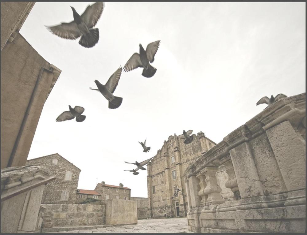 Fotografia z galérie ubytovania Dubrovnik Sea View Apartment v Dubrovníku