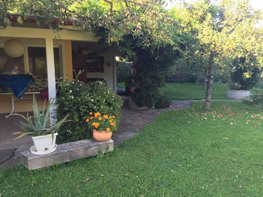 Zahrada ubytování Haus KAIROS