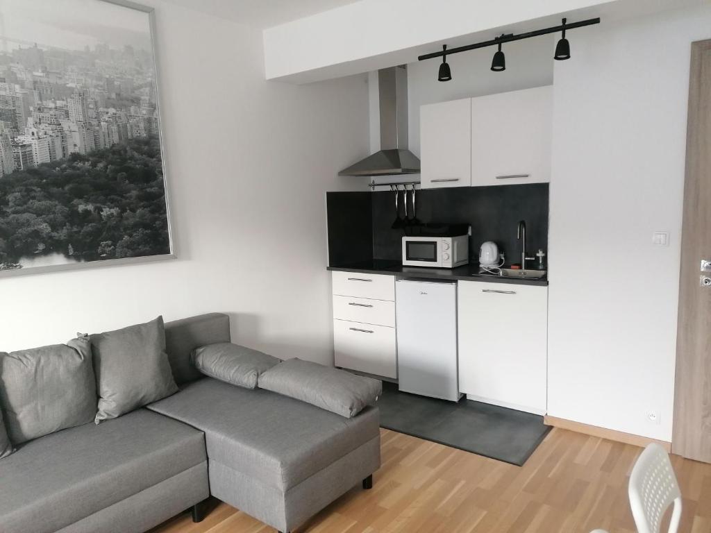 sala de estar con sofá y cocina en Brand new studio apartment # 45 with free parking in the city center, en Praga