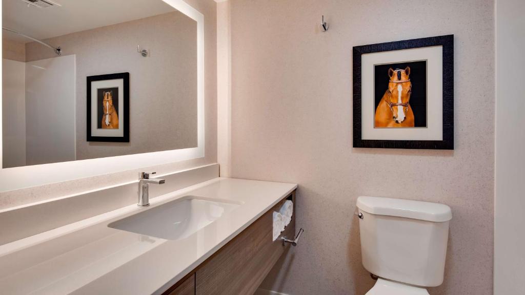 Aiden by Best Western Scottsdale North photo