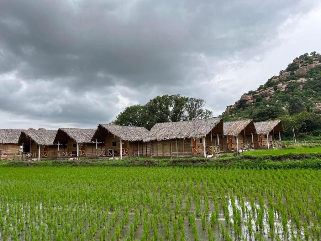Un paisaje natural cerca de la habitación en casa particular