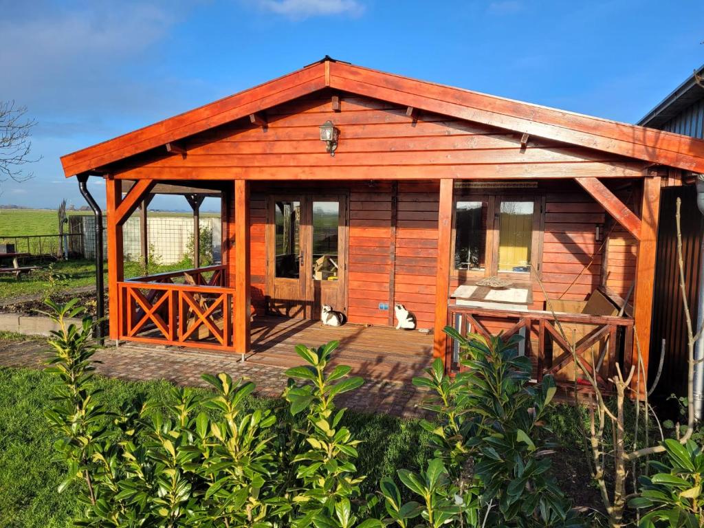 a small wooden cabin with a dog sitting on a deck at Op e Mieden in Bartlehiem