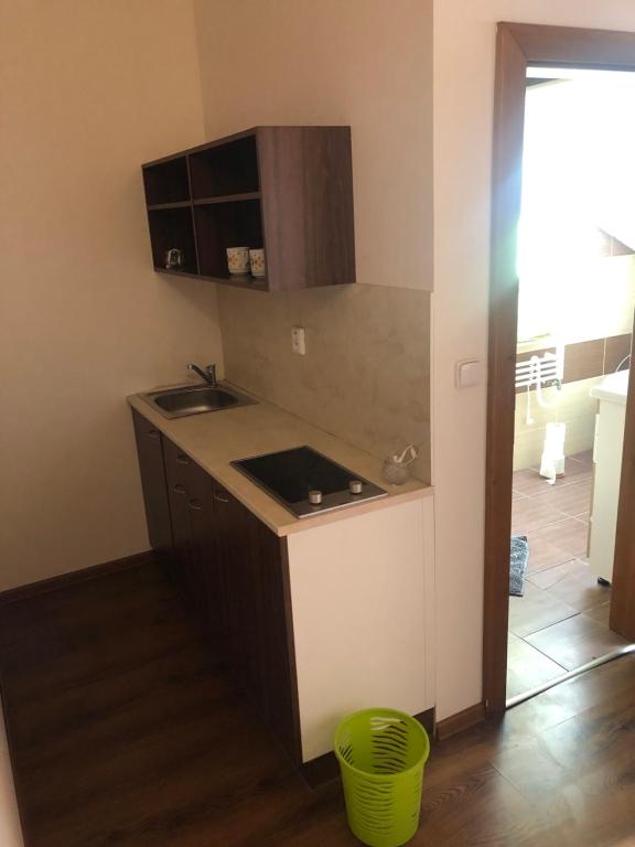 una cucina con lavandino e piano di lavoro di VLADIMÍR, rekreační středisko a Šternberk