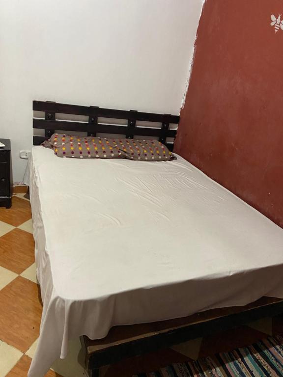 Shark house, Dahab (updated prices 2024)