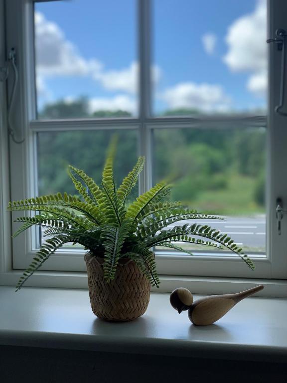 Fotografie z fotogalerie ubytování Svalereden Strand Camping Rooms v destinaci Saeby