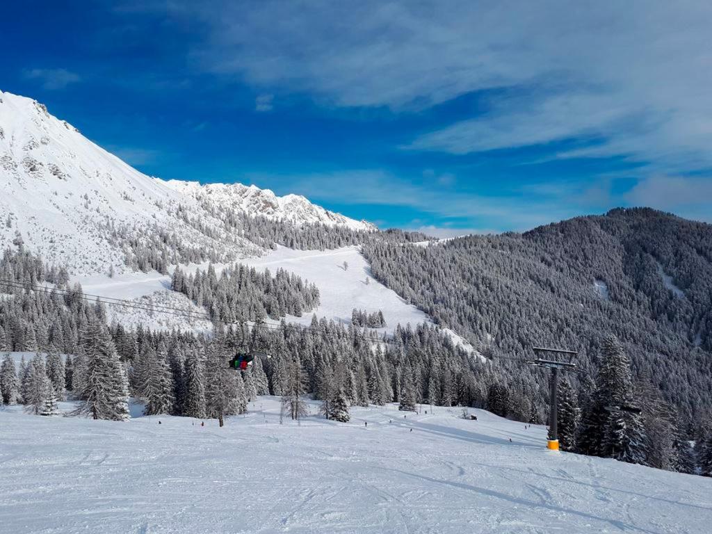 une montagne enneigée avec des arbres et une piste de ski dans l'établissement Landal Chalet Matin, à Bürserberg