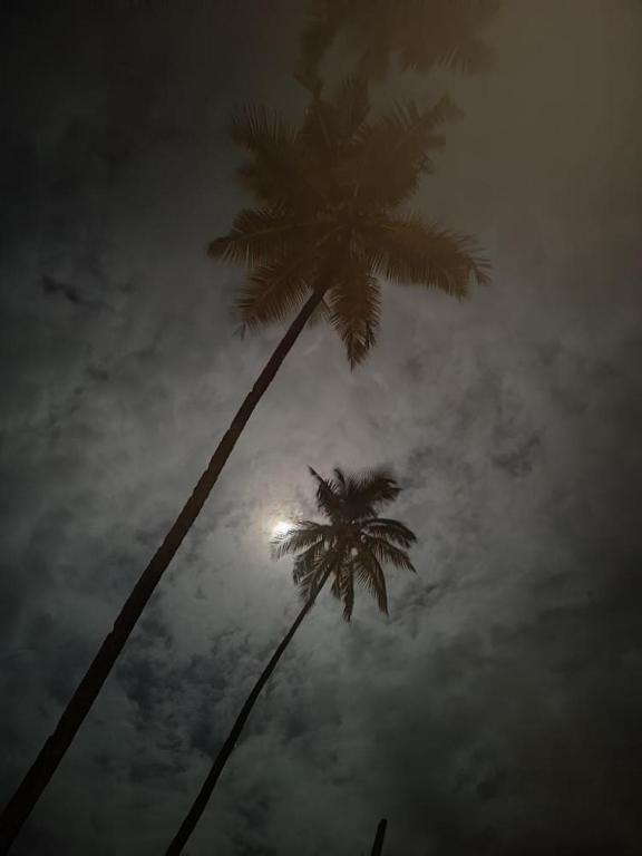 Fotografie z fotogalerie ubytování Bluemoon By Neelchand v destinaci Canacona